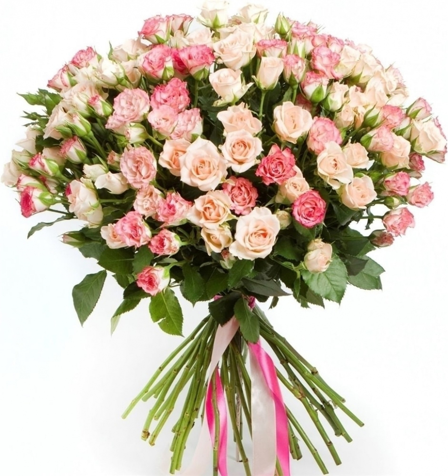 Кустовые розы Микс № 4 Кустовые розы Микс № 4