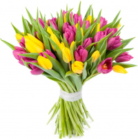 Тюльпаны микс № 4